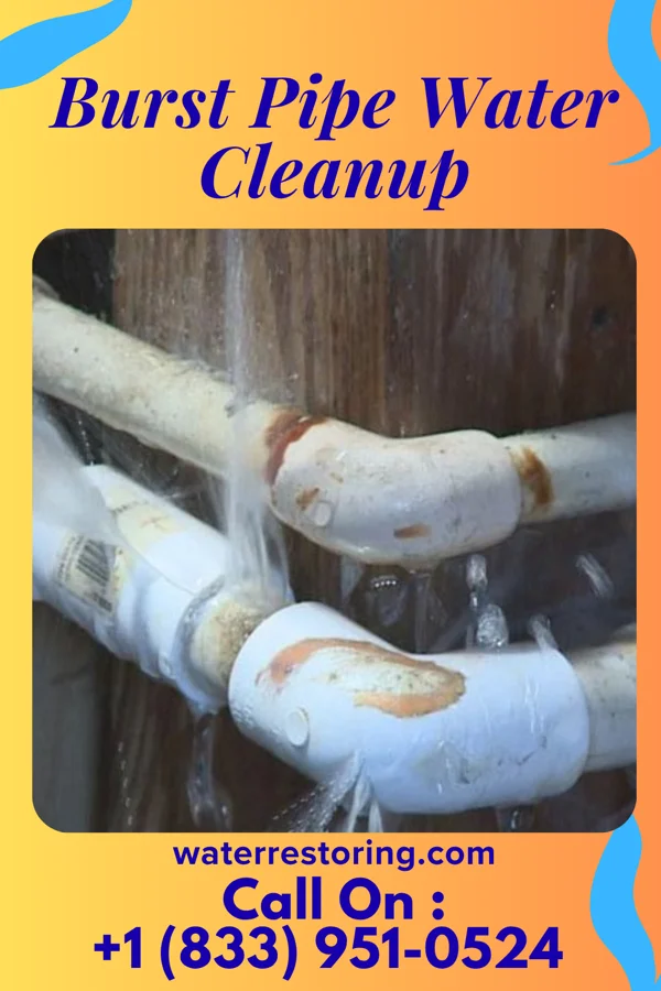 Burst Pipe Water Cleanup in Qui-nai-elt Village, WA