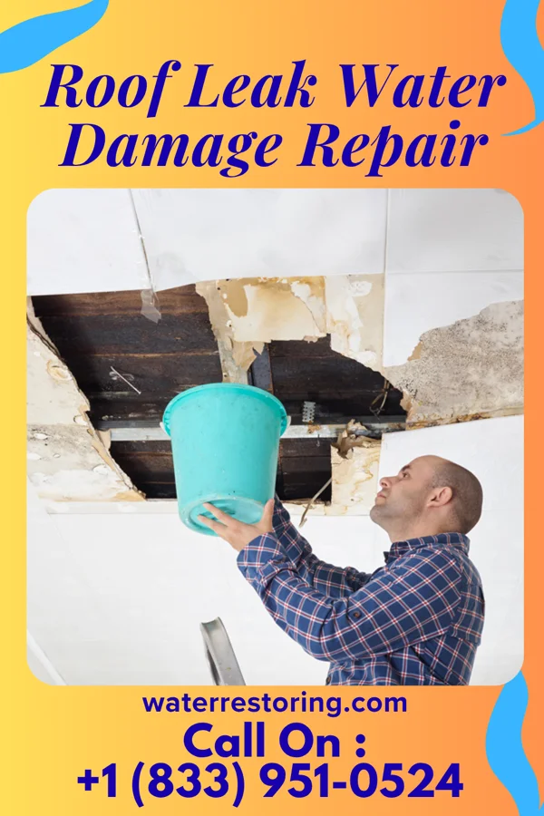 Roof Leak Water Damage Repair in Qui-nai-elt Village, WA
